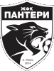 Пантери Умань