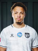 Guerreiro Ribeiro Dos Santos Wendy