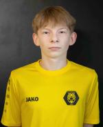 Мельник Данііл Сергійович