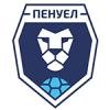 ХФК Пенуел Кривий Ріг