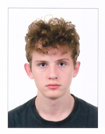 Danilo Storozhik