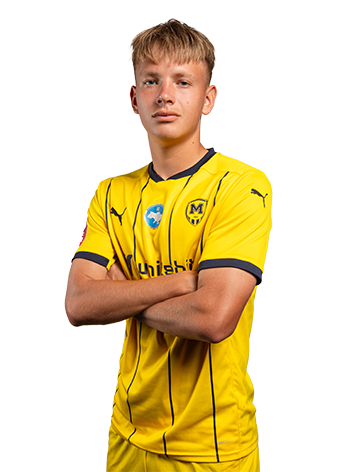 Сосницький Ілля Євгенович